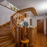 Pod Szrenicą