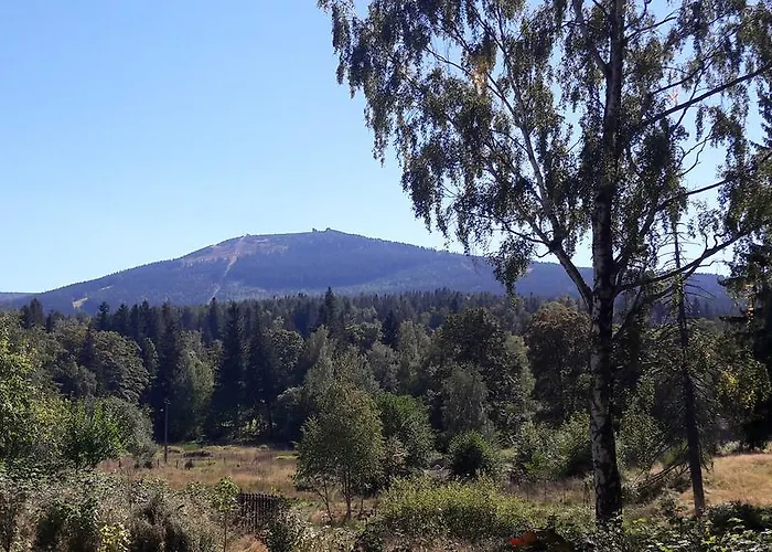 Проживание в семье Pod Szrenica *